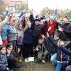Święto Drzewa
